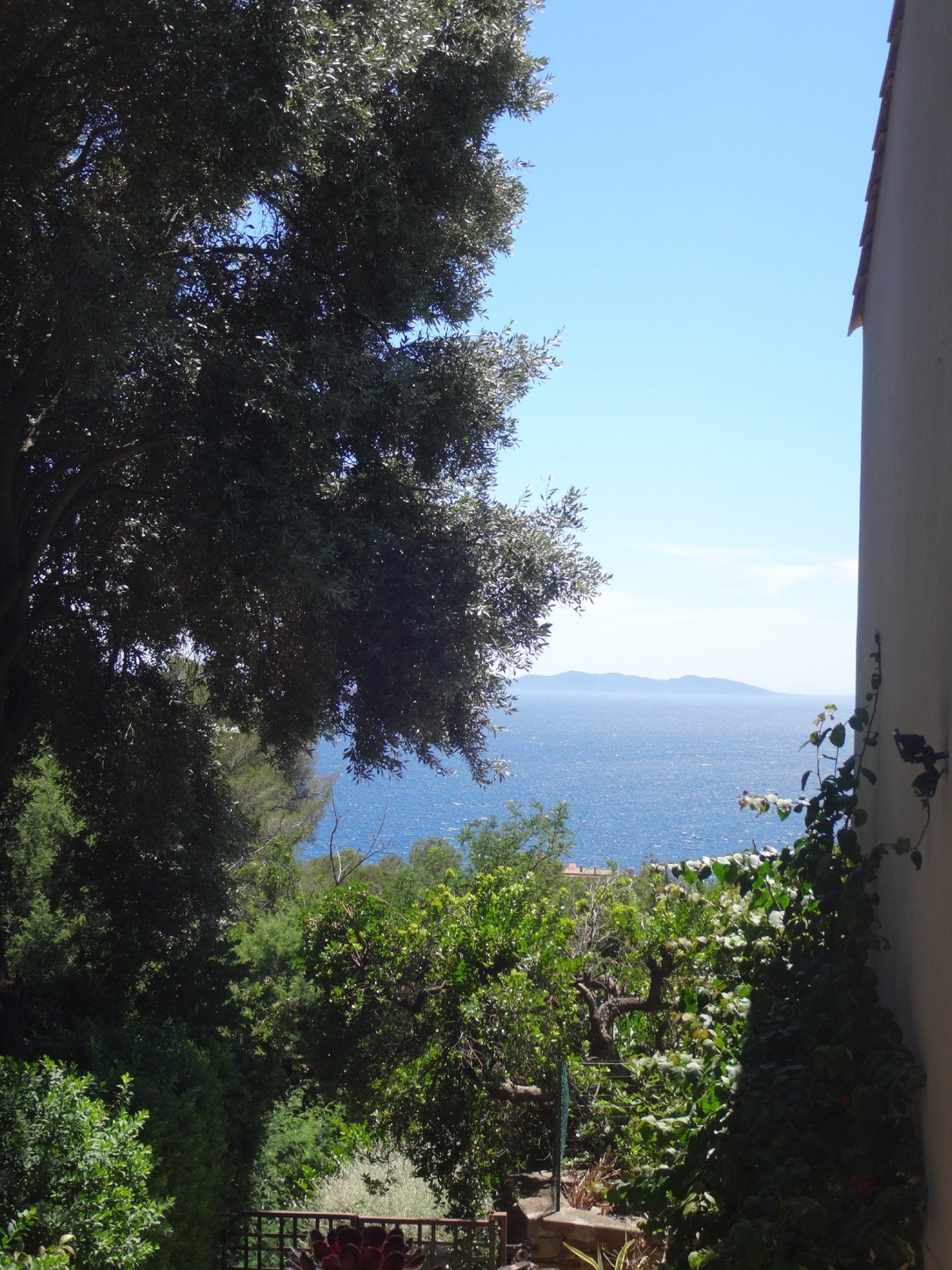 Vue terrasse