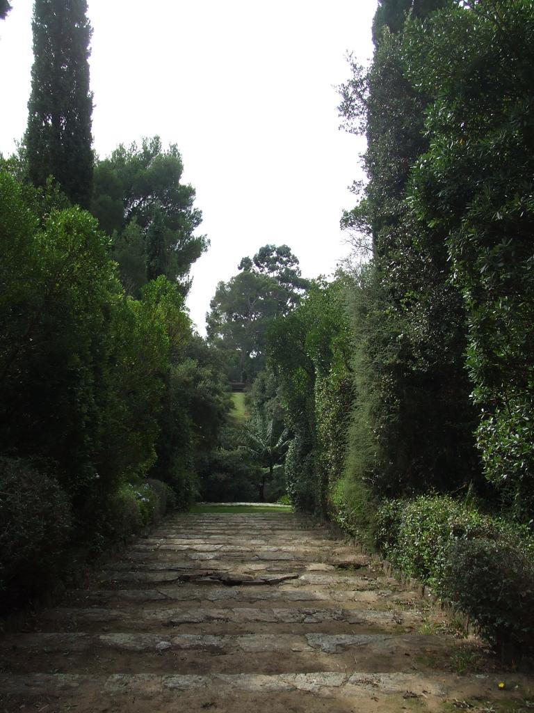 DSCF4447