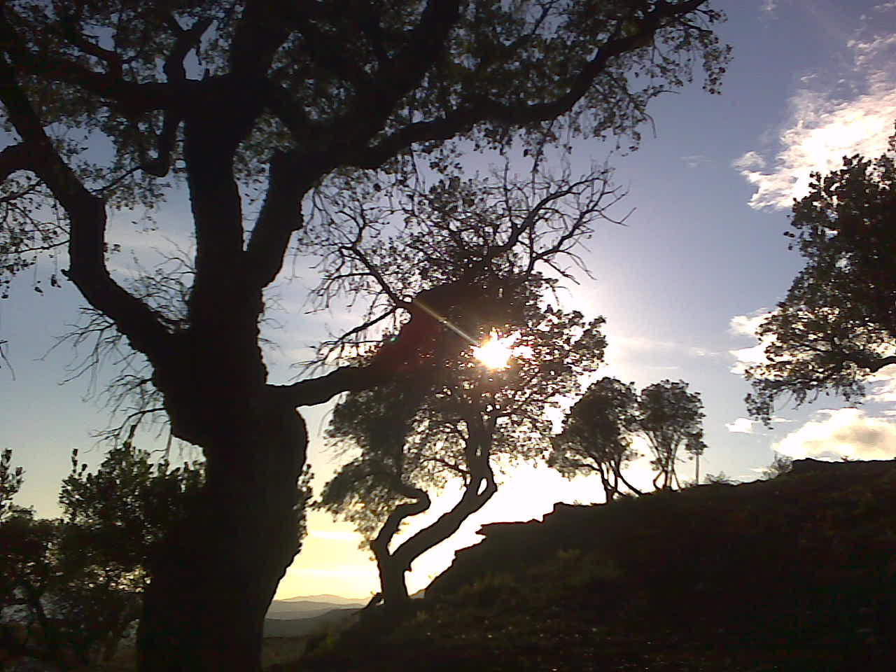 Photo0030